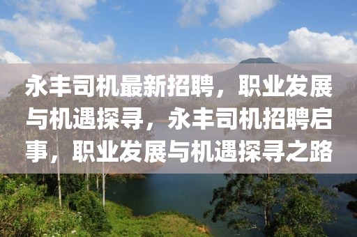 永豐司機最新招聘，職業發展與機遇探尋，永豐司機招聘啟事，職業發展與機遇探尋之路