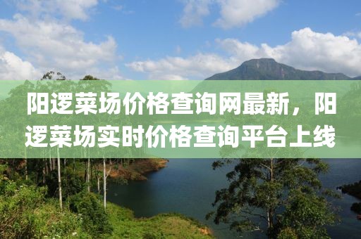 陽邏菜場價格查詢網最新，陽邏菜場實時價格查詢平臺上線