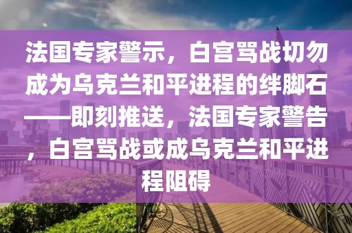 法國專家警示，白宮罵戰(zhàn)切勿成為烏克蘭和平進程的絆腳石——即刻推送，法國專家警告，白宮罵戰(zhàn)或成烏克蘭和平進程阻礙