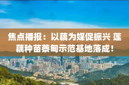 焦點播報：以藕為媒促振興 蓮藕種苗蔡甸示范基地落成！