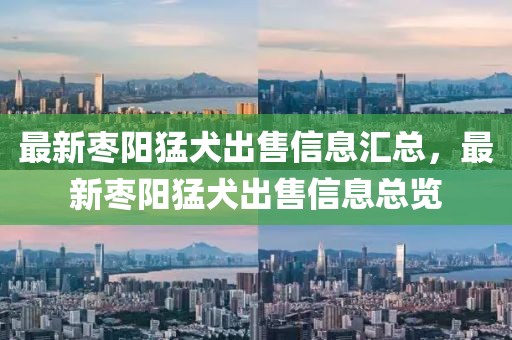 最新棗陽猛犬出售信息匯總，最新棗陽猛犬出售信息總覽