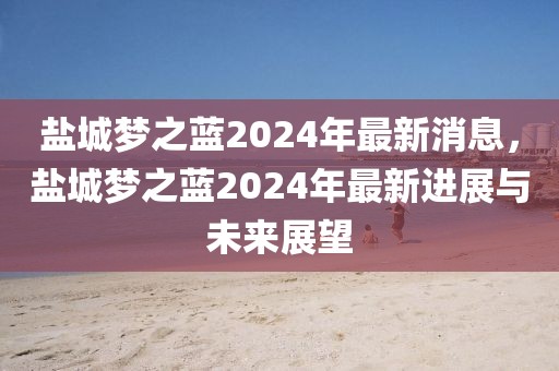 鹽城夢之藍2024年最新消息，鹽城夢之藍2024年最新進展與未來展望