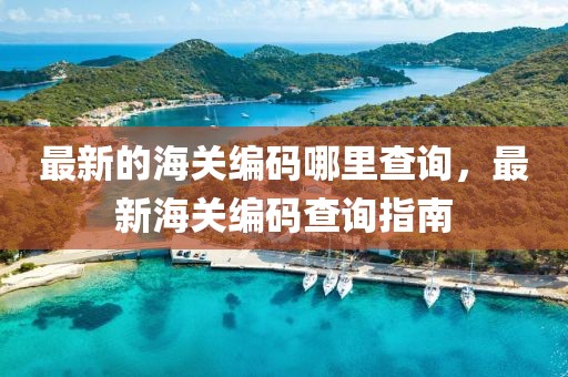 最新的海關編碼哪里查詢，最新海關編碼查詢指南
