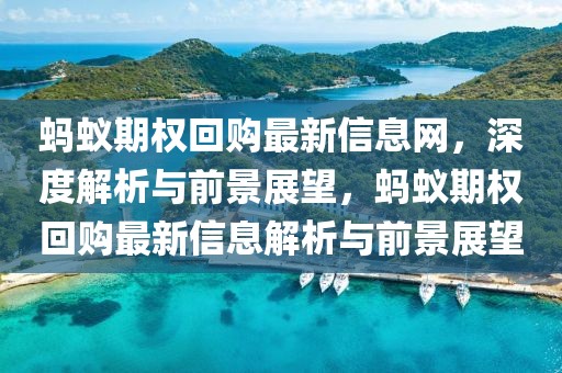 螞蟻期權回購最新信息網，深度解析與前景展望，螞蟻期權回購最新信息解析與前景展望