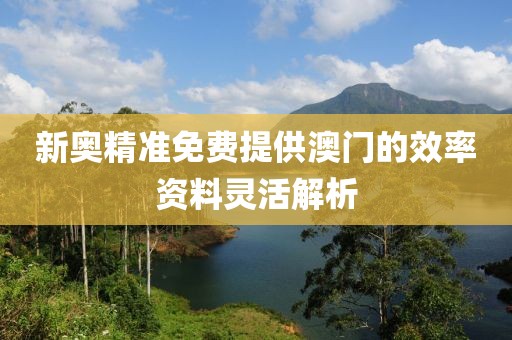 新奧精準免費提供澳門的效率資料靈活解析