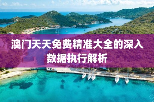 澳門天天免費精準大全的深入數據執行解析