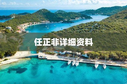 任正非詳細資料