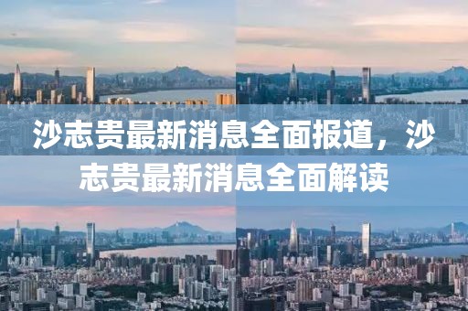 沙志貴最新消息全面報道，沙志貴最新消息全面解讀