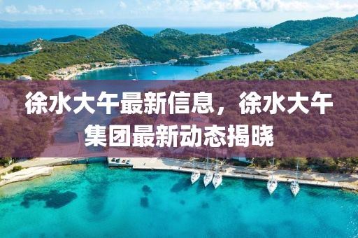 徐水大午最新信息，徐水大午集團最新動態揭曉