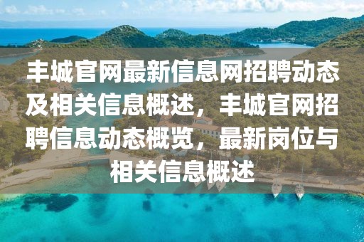 豐城官網最新信息網招聘動態及相關信息概述，豐城官網招聘信息動態概覽，最新崗位與相關信息概述