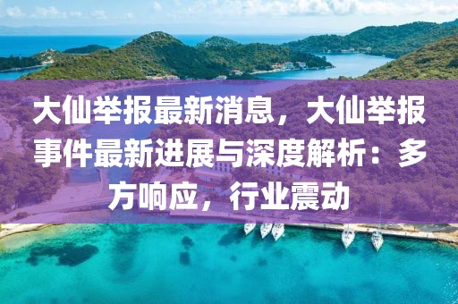 大仙舉報最新消息，大仙舉報事件最新進展與深度解析：多方響應，行業震動