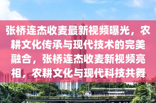 張橋連杰收麥最新視頻曝光，農(nóng)耕文化傳承與現(xiàn)代技術(shù)的完美融合，張橋連杰收麥新視頻亮相，農(nóng)耕文化與現(xiàn)代科技共舞