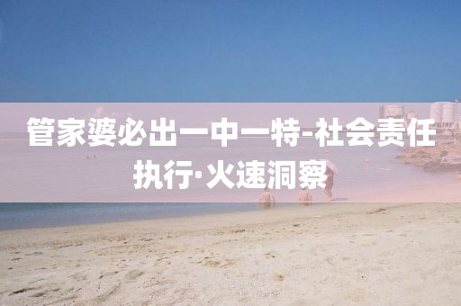 管家婆必出一中一特-社會責任執行·火速洞察