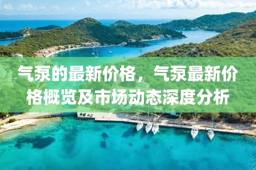 氣泵的最新價格，氣泵最新價格概覽及市場動態(tài)深度分析