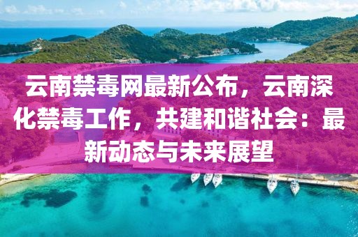 云南禁毒網最新公布，云南深化禁毒工作，共建和諧社會：最新動態與未來展望