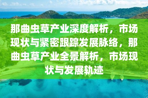 那曲蟲草產業深度解析，市場現狀與緊密跟蹤發展脈絡，那曲蟲草產業全景解析，市場現狀與發展軌跡