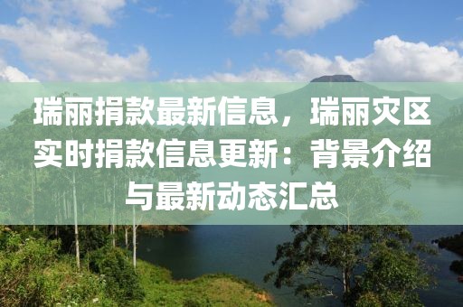 瑞麗捐款最新信息，瑞麗災區實時捐款信息更新：背景介紹與最新動態匯總