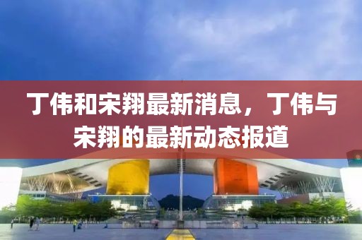 丁偉和宋翔最新消息，丁偉與宋翔的最新動(dòng)態(tài)報(bào)道
