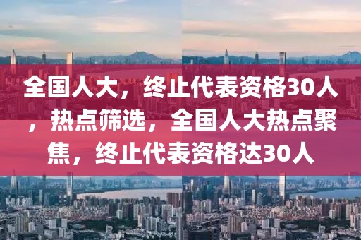 全國人大，終止代表資格30人，熱點篩選，全國人大熱點聚焦，終止代表資格達30人