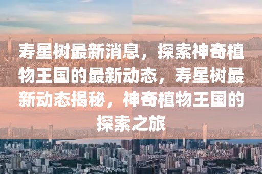 壽星樹最新消息，探索神奇植物王國的最新動態，壽星樹最新動態揭秘，神奇植物王國的探索之旅
