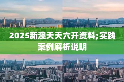 2025新澳天天六開資料;實踐案例解析說明
