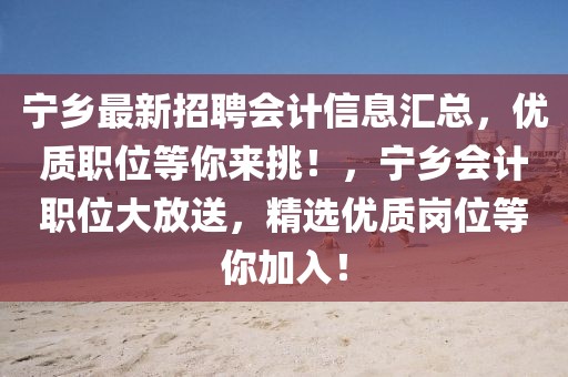 寧鄉最新招聘會計信息匯總，優質職位等你來挑！，寧鄉會計職位大放送，精選優質崗位等你加入！