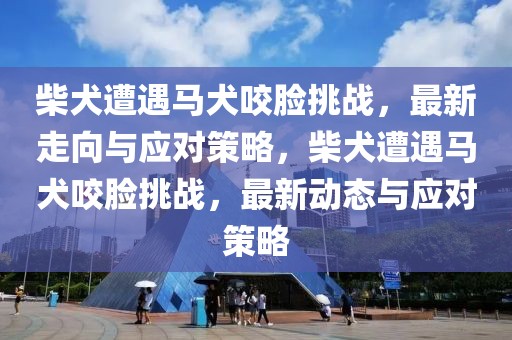 柴犬遭遇馬犬咬臉挑戰(zhàn)，最新走向與應(yīng)對(duì)策略，柴犬遭遇馬犬咬臉挑戰(zhàn)，最新動(dòng)態(tài)與應(yīng)對(duì)策略