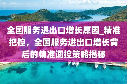 全國服務進出口增長原因_精準把控，全國服務進出口增長背后的精準調控策略揭秘