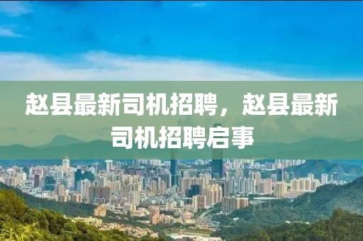 趙縣最新司機招聘，趙縣最新司機招聘啟事