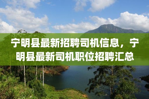 寧明縣最新招聘司機信息，寧明縣最新司機職位招聘匯總