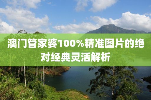 澳門管家婆100%精準(zhǔn)圖片的絕對(duì)經(jīng)典靈活解析