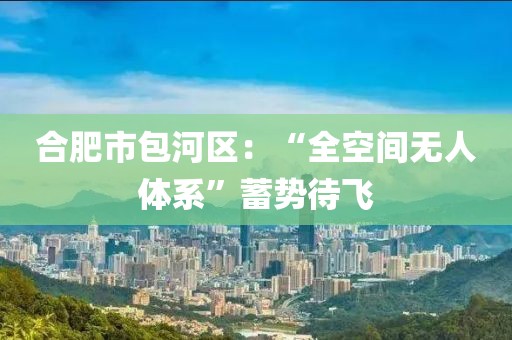 合肥市包河區：“全空間無人體系”蓄勢待飛
