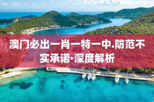 澳門必出一肖一特一中.防范不實(shí)承諾·深度解析