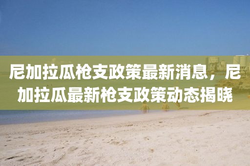 尼加拉瓜槍支政策最新消息，尼加拉瓜最新槍支政策動態揭曉