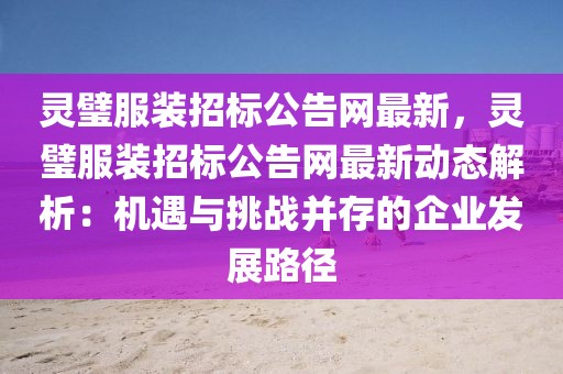 靈璧服裝招標公告網最新，靈璧服裝招標公告網最新動態解析：機遇與挑戰并存的企業發展路徑
