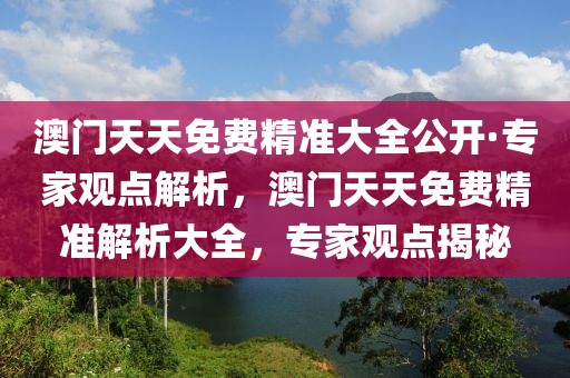 澳門天天免費精準大全公開·專家觀點解析，澳門天天免費精準解析大全，專家觀點揭秘