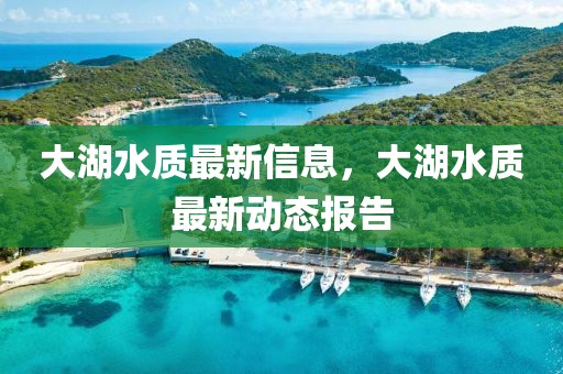 大湖水質(zhì)最新信息，大湖水質(zhì)最新動態(tài)報告