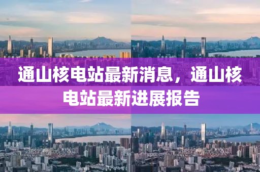 通山核電站最新消息，通山核電站最新進展報告