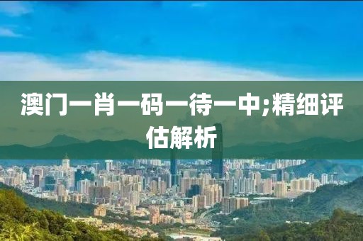 澳門一肖一碼一待一中;精細評估解析