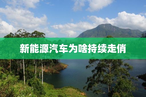 新能源汽車為啥持續(xù)走俏