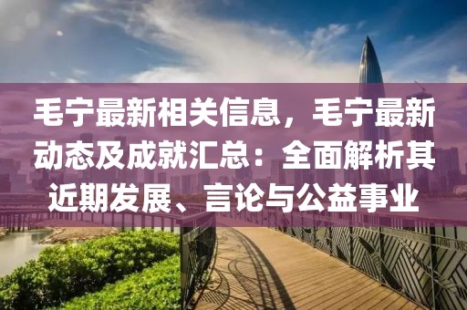 毛寧最新相關信息，毛寧最新動態(tài)及成就匯總：全面解析其近期發(fā)展、言論與公益事業(yè)