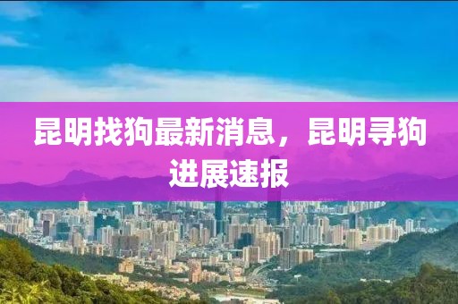 昆明找狗最新消息，昆明尋狗進展速報