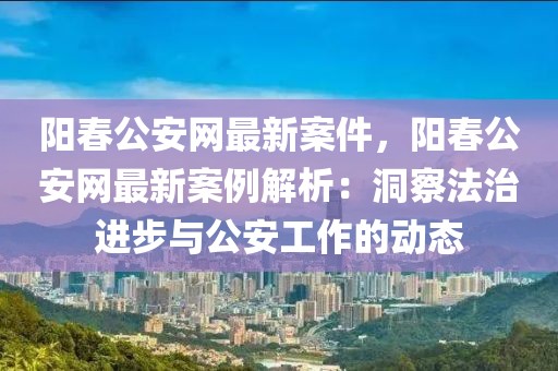 陽春公安網最新案件，陽春公安網最新案例解析：洞察法治進步與公安工作的動態