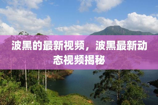 波黑的最新視頻，波黑最新動態視頻揭秘