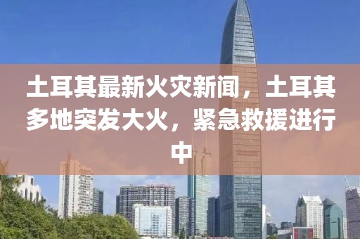 土耳其最新火災新聞，土耳其多地突發大火，緊急救援進行中