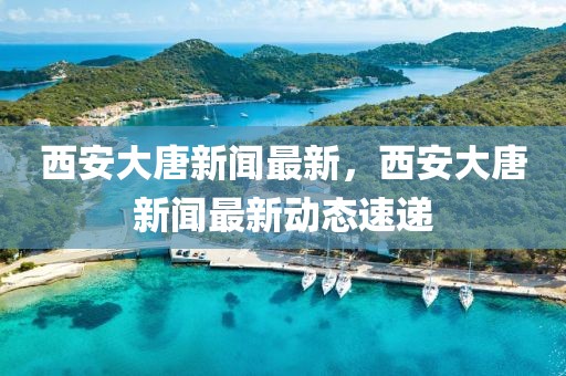 西安大唐新聞最新，西安大唐新聞最新動態速遞