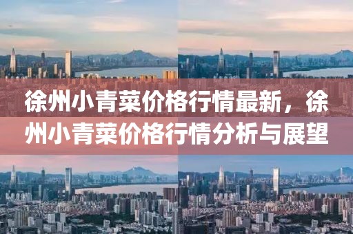徐州小青菜價格行情最新，徐州小青菜價格行情分析與展望