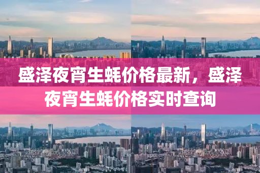 盛澤夜宵生蠔價格最新，盛澤夜宵生蠔價格實時查詢