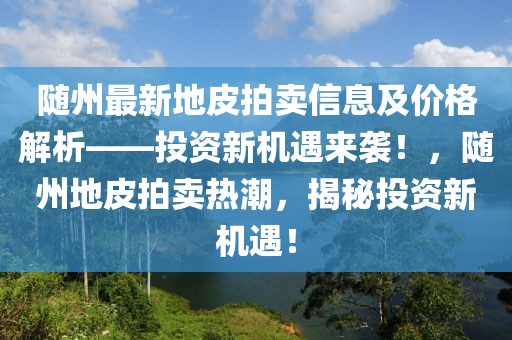 隨州最新地皮拍賣信息及價格解析——投資新機遇來襲！，隨州地皮拍賣熱潮，揭秘投資新機遇！