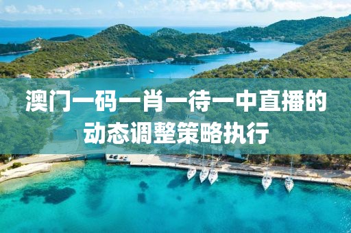 澳門一碼一肖一待一中直播的動態(tài)調整策略執(zhí)行